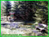010411032.jpg (92969 Byte)